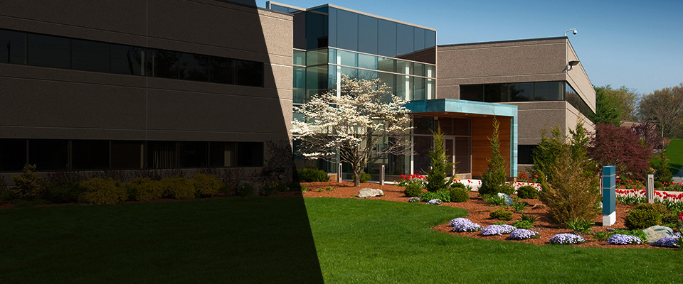 Finlayson Landscapers