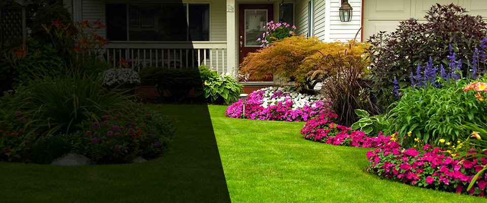Finlayson Landscapers