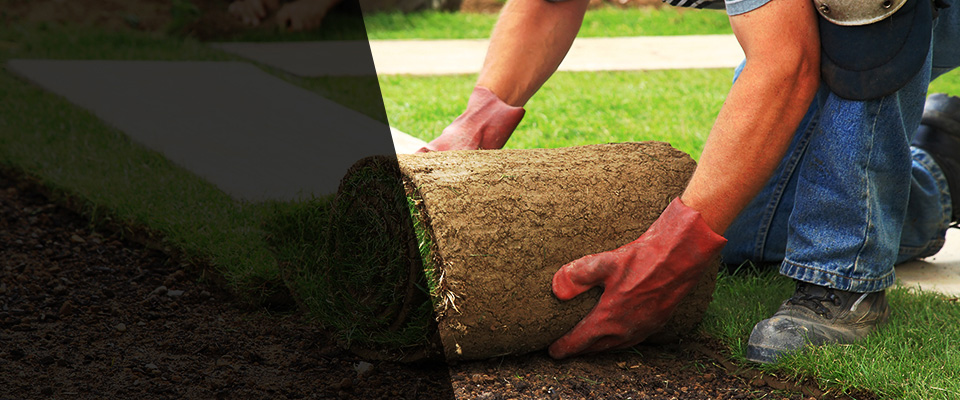 Finlayson Landscapers